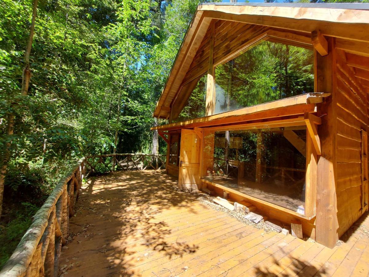 Вилла Chalet Vivir El Bosque Huilo Huilo Экстерьер фото