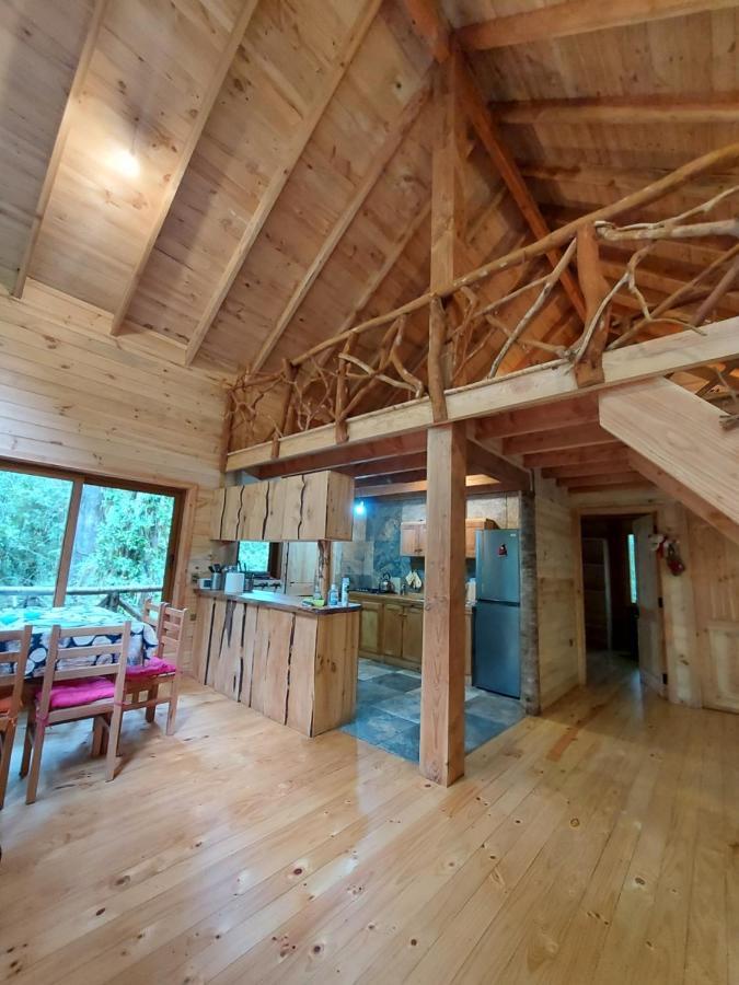 Вилла Chalet Vivir El Bosque Huilo Huilo Экстерьер фото