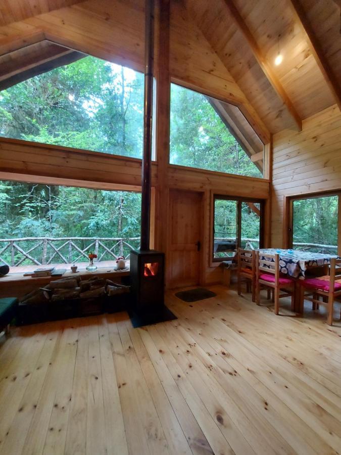 Вилла Chalet Vivir El Bosque Huilo Huilo Экстерьер фото