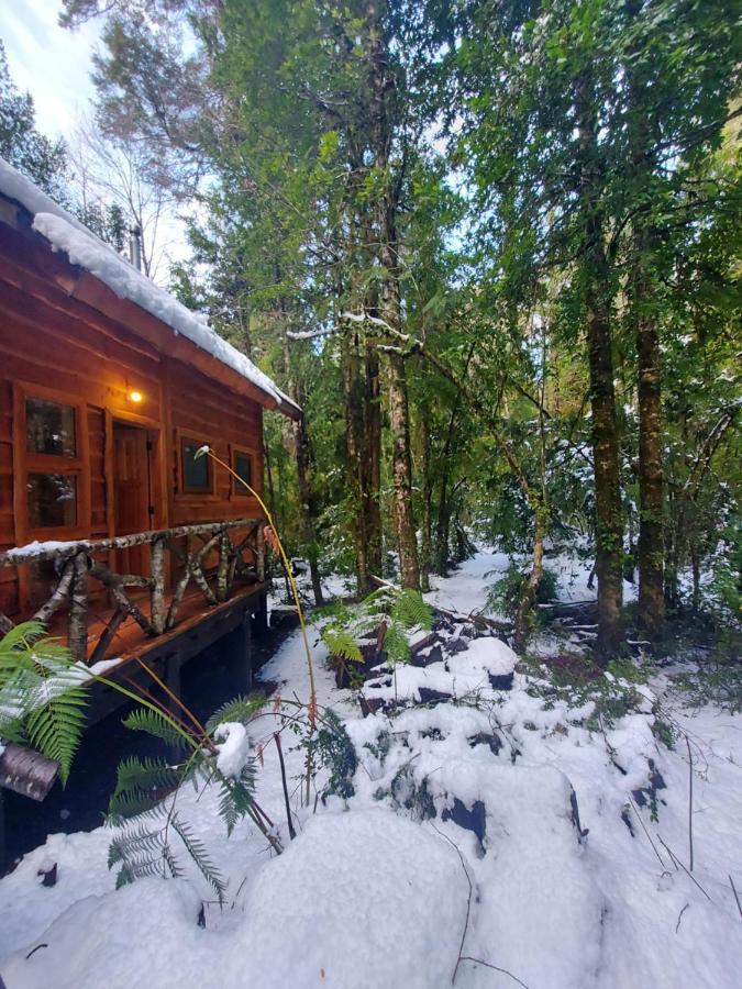 Вилла Chalet Vivir El Bosque Huilo Huilo Экстерьер фото