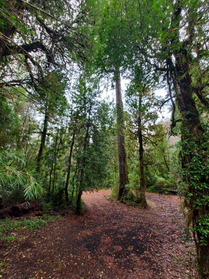 Вилла Chalet Vivir El Bosque Huilo Huilo Экстерьер фото