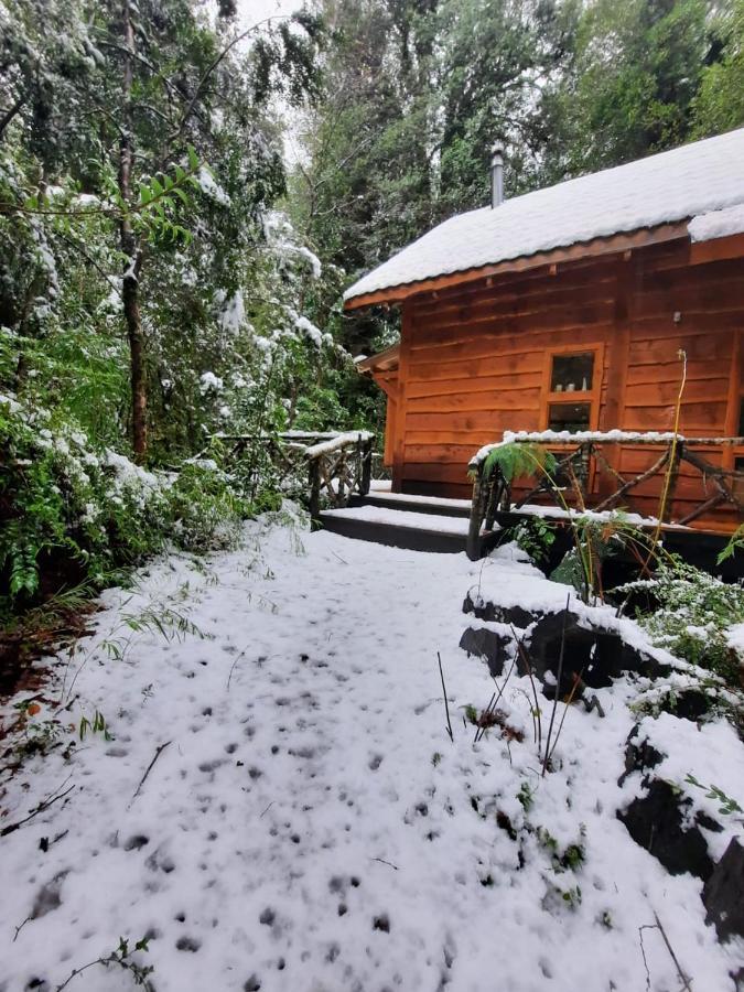 Вилла Chalet Vivir El Bosque Huilo Huilo Экстерьер фото