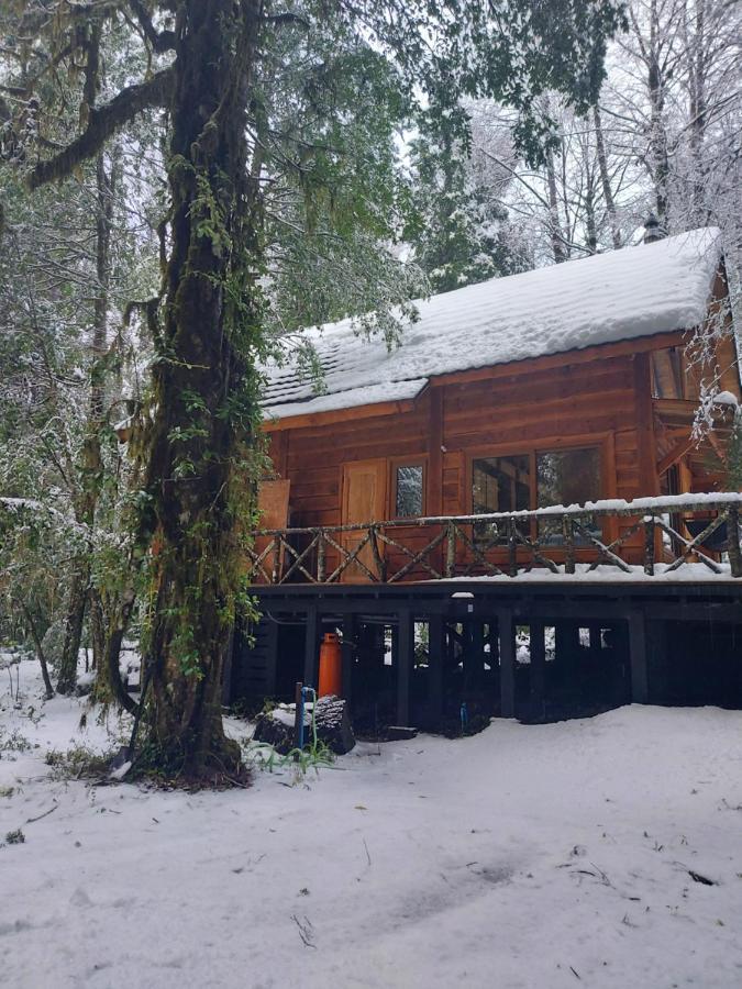 Вилла Chalet Vivir El Bosque Huilo Huilo Экстерьер фото