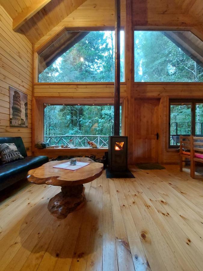 Вилла Chalet Vivir El Bosque Huilo Huilo Экстерьер фото