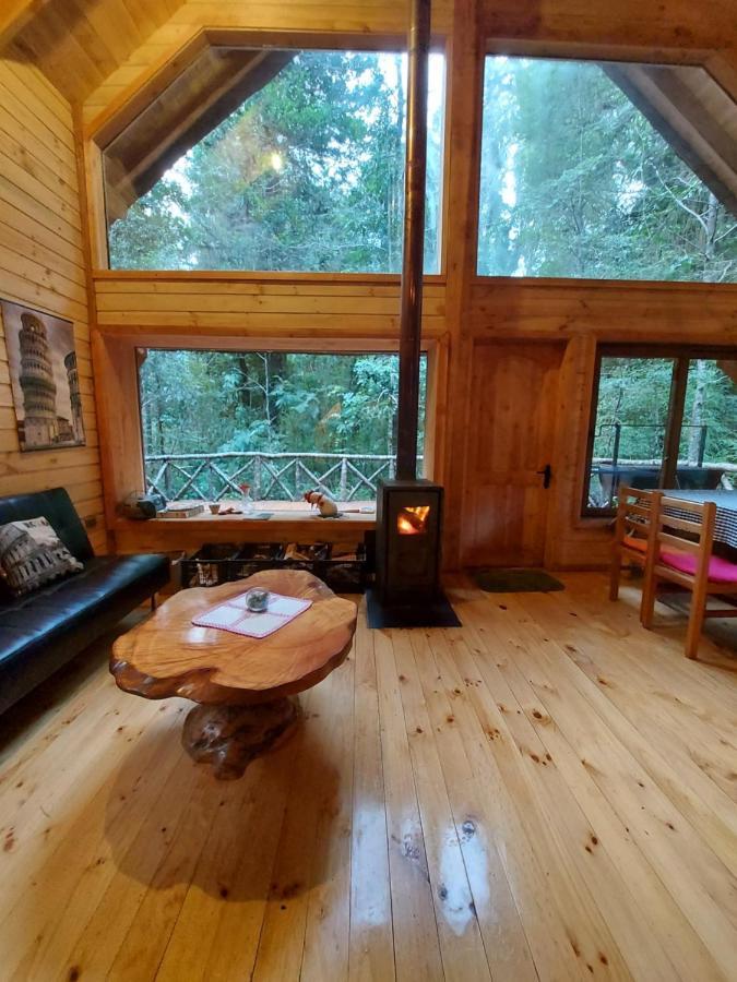 Вилла Chalet Vivir El Bosque Huilo Huilo Экстерьер фото